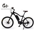 1000W Middle Motor 48V 17ah Aluminium PAS Electric Bicycle